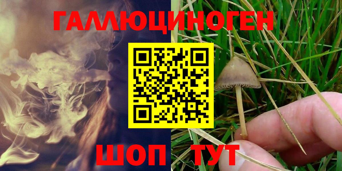 Галлюциногенные грибы GOLDEN TEACHER Домодедово