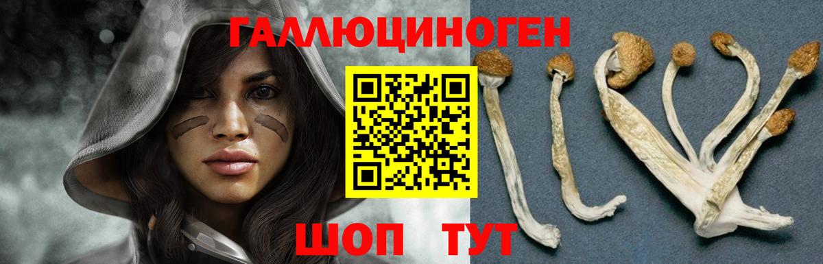 Псилоцибиновые грибы мицелий  Вход с VPN  Домодедово  Галлюциногенные грибы Magic Shrooms 